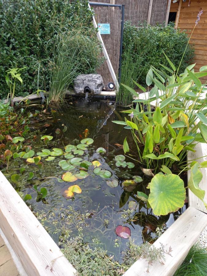 Appartement 3 Eme Etage Avec Piscine Partagee Sedan Εξωτερικό φωτογραφία